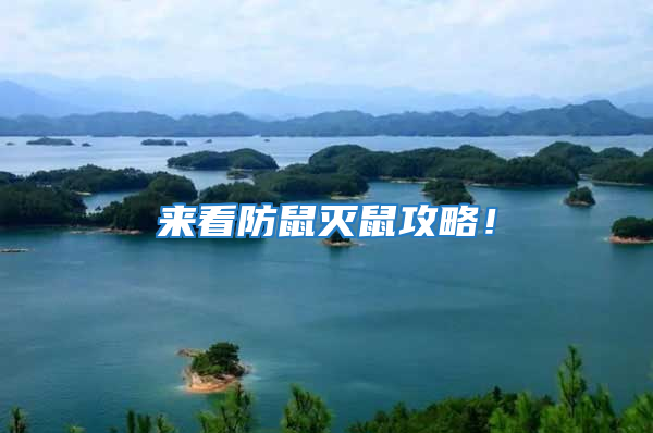 來看防鼠滅鼠攻略！