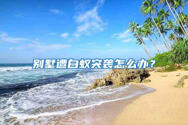 別墅遭白蟻突襲怎么辦？