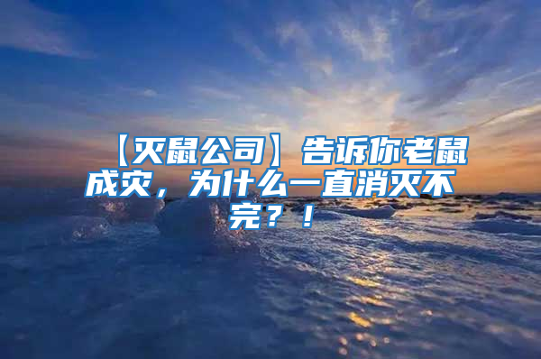 【滅鼠公司】告訴你老鼠成災(zāi)，為什么一直消滅不完？！