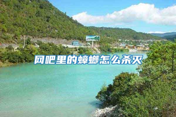 網(wǎng)吧里的蟑螂怎么殺滅