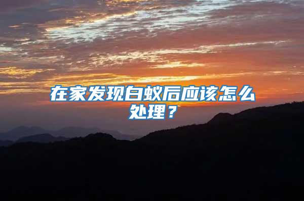 在家發(fā)現(xiàn)白蟻后應(yīng)該怎么處理？