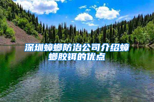 深圳蟑螂防治公司介紹蟑螂膠鉺的優點
