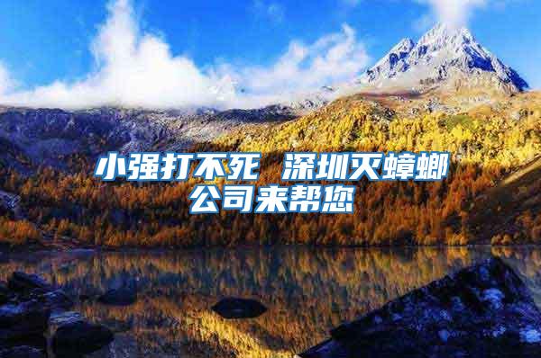 小強(qiáng)打不死 深圳滅蟑螂公司來幫您