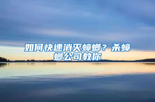 如何快速消滅蟑螂？殺蟑螂公司教你