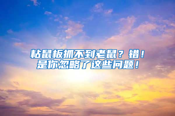 粘鼠板抓不到老鼠？錯！是你忽略了這些問題！