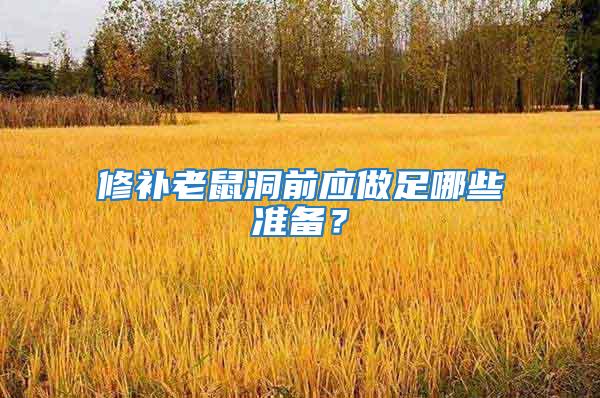 修補(bǔ)老鼠洞前應(yīng)做足哪些準(zhǔn)備？