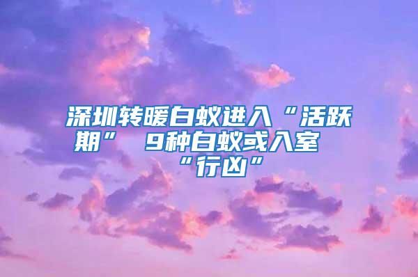 深圳轉暖白蟻進入“活躍期” 9種白蟻或入室“行兇”