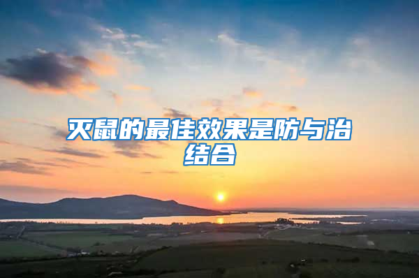 滅鼠的最佳效果是防與治結合