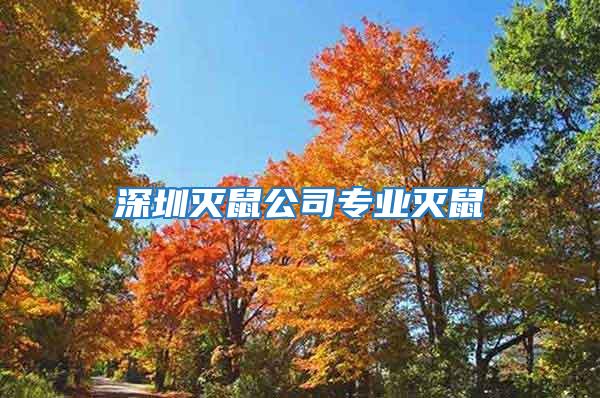 深圳滅鼠公司專業滅鼠