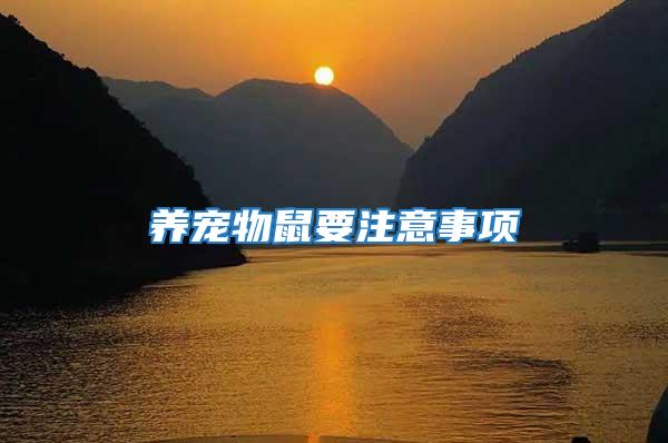 養(yǎng)寵物鼠要注意事項(xiàng)
