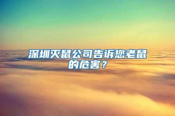 深圳滅鼠公司告訴您老鼠的危害？