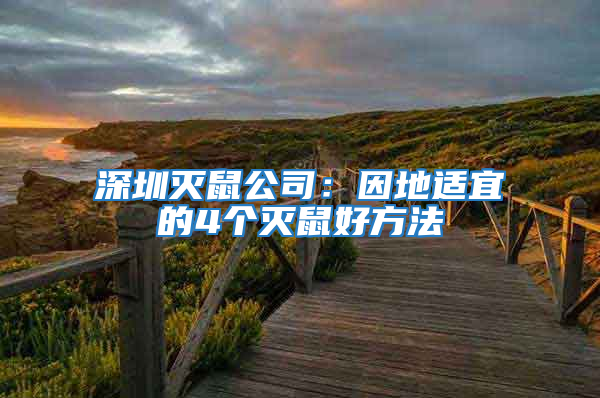 深圳滅鼠公司：因地適宜的4個滅鼠好方法