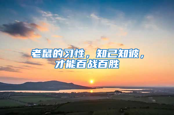 老鼠的習性，知己知彼，才能百戰百勝