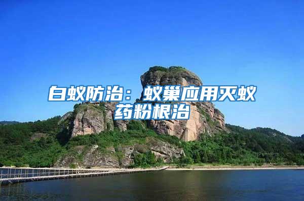 白蟻防治：蟻巢應用滅蟻藥粉根治