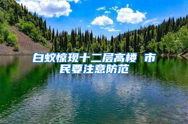 白蟻驚現十二層高樓 市民要注意防范