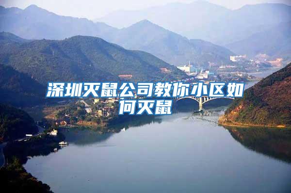 深圳滅鼠公司教你小區如何滅鼠