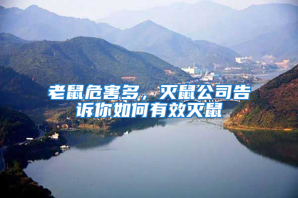 老鼠危害多，滅鼠公司告訴你如何有效滅鼠
