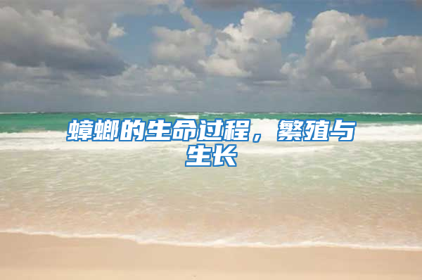 蟑螂的生命過程，繁殖與生長