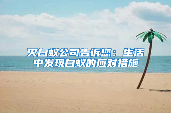 滅白蟻公司告訴您：生活中發(fā)現(xiàn)白蟻的應(yīng)對措施