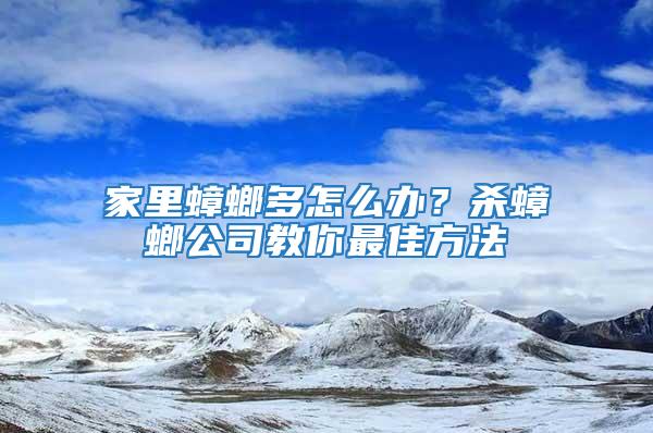 家里蟑螂多怎么辦？殺蟑螂公司教你最佳方法