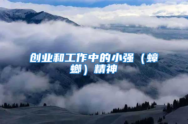 創(chuàng)業(yè)和工作中的小強（蟑螂）精神