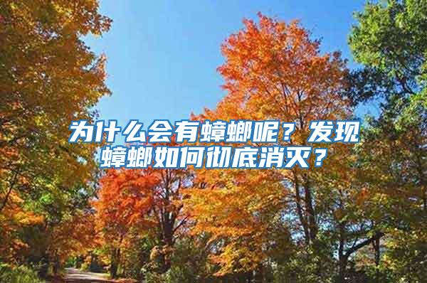 為什么會有蟑螂呢？發(fā)現(xiàn)蟑螂如何徹底消滅？