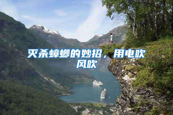 滅殺蟑螂的妙招，用電吹風吹