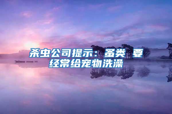 殺蟲公司提示：蚤類 要經常給寵物洗澡