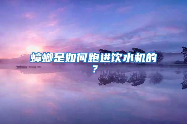 蟑螂是如何跑進(jìn)飲水機(jī)的？