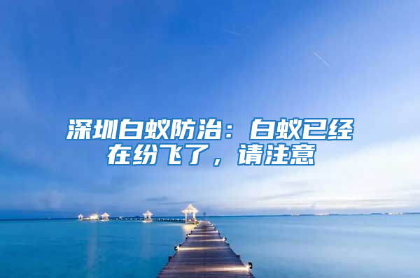 深圳白蟻防治：白蟻已經在紛飛了，請注意