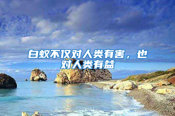 白蟻不僅對人類有害，也對人類有益