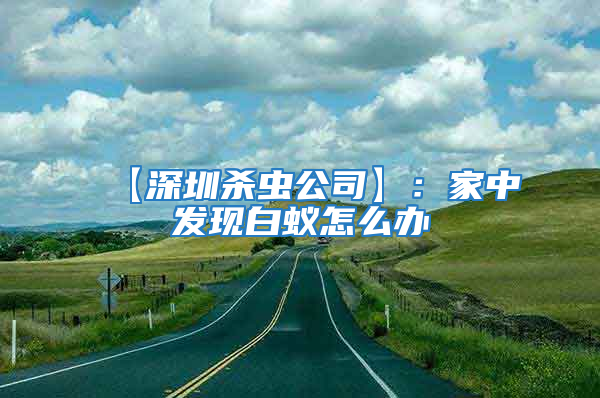 【深圳殺蟲公司】：家中發(fā)現(xiàn)白蟻怎么辦