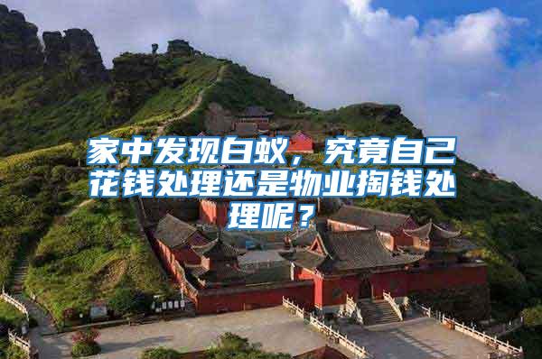 家中發(fā)現(xiàn)白蟻，究竟自己花錢(qián)處理還是物業(yè)掏錢(qián)處理呢？