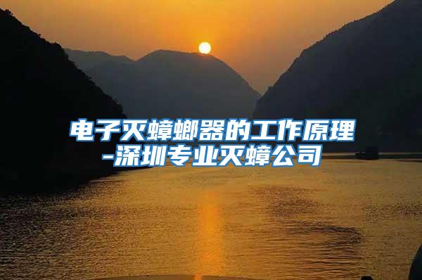 電子滅蟑螂器的工作原理-深圳專業滅蟑公司
