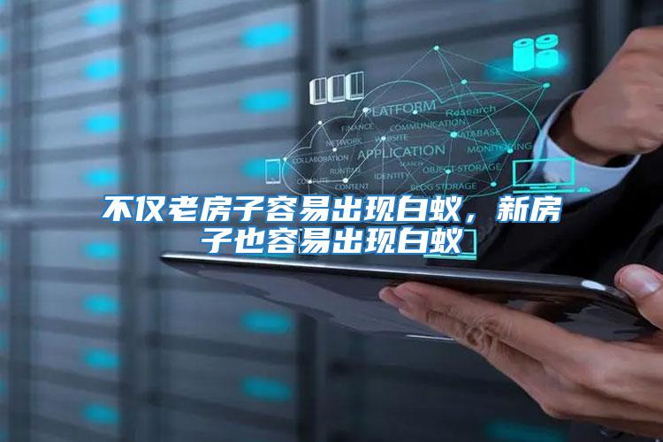 不僅老房子容易出現白蟻，新房子也容易出現白蟻