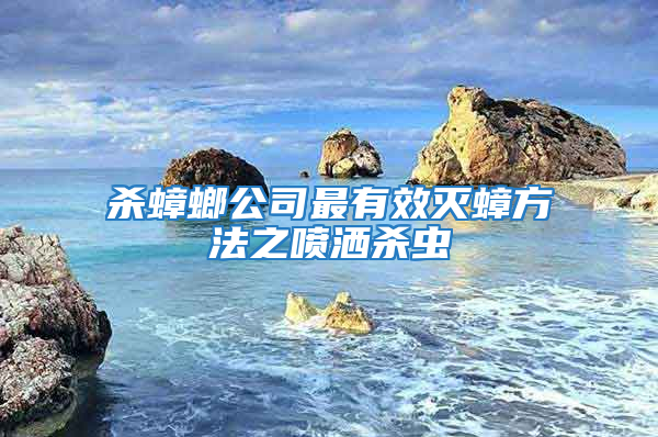 殺蟑螂公司最有效滅蟑方法之噴灑殺蟲(chóng)