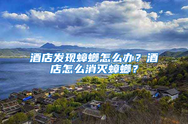 酒店發(fā)現(xiàn)蟑螂怎么辦？酒店怎么消滅蟑螂？