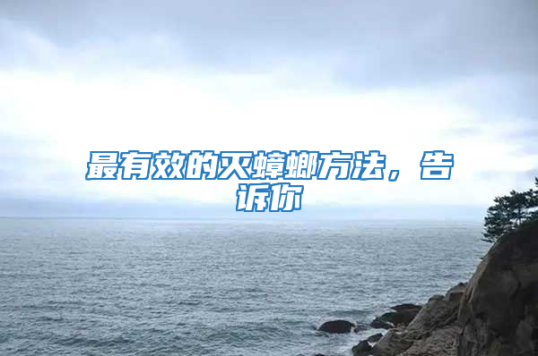 最有效的滅蟑螂方法，告訴你