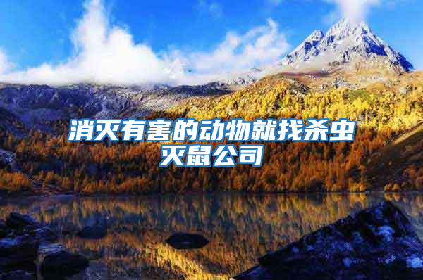 消滅有害的動物就找殺蟲滅鼠公司