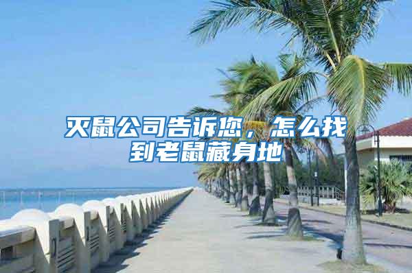 滅鼠公司告訴您，怎么找到老鼠藏身地