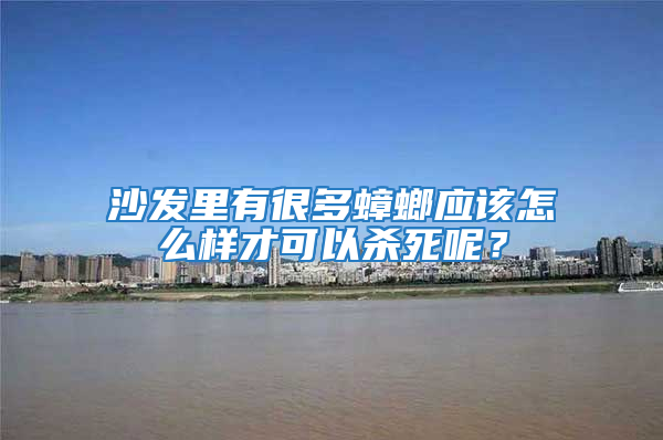沙發里有很多蟑螂應該怎么樣才可以殺死呢？