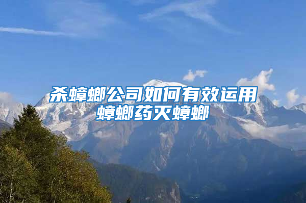 殺蟑螂公司如何有效運用蟑螂藥滅蟑螂