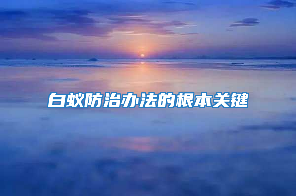 白蟻防治辦法的根本關鍵