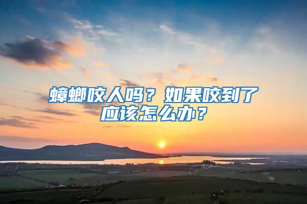 蟑螂咬人嗎？如果咬到了應該怎么辦？
