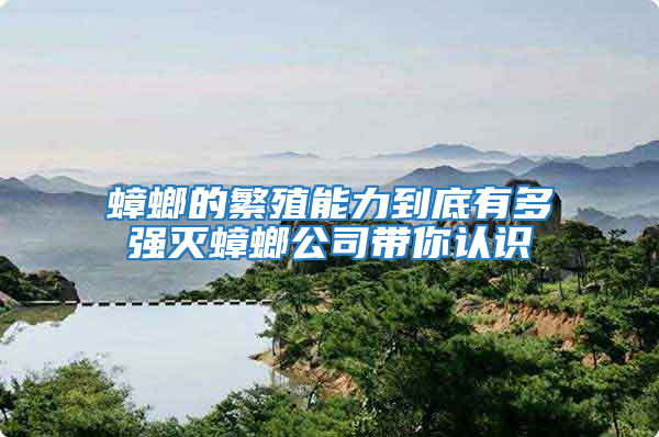 蟑螂的繁殖能力到底有多強滅蟑螂公司帶你認識