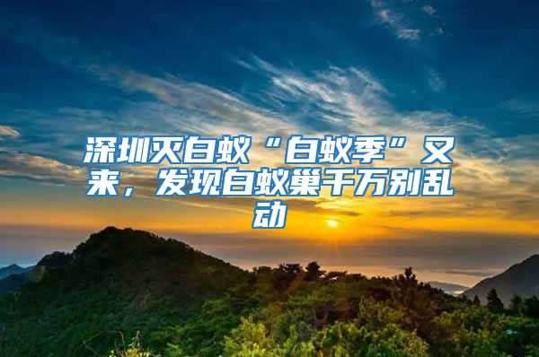 深圳滅白蟻“白蟻季”又來，發現白蟻巢千萬別亂動