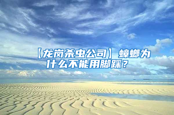 【龍崗殺蟲公司】蟑螂為什么不能用腳踩？