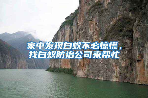 家中發現白蟻不必驚慌，找白蟻防治公司來幫忙
