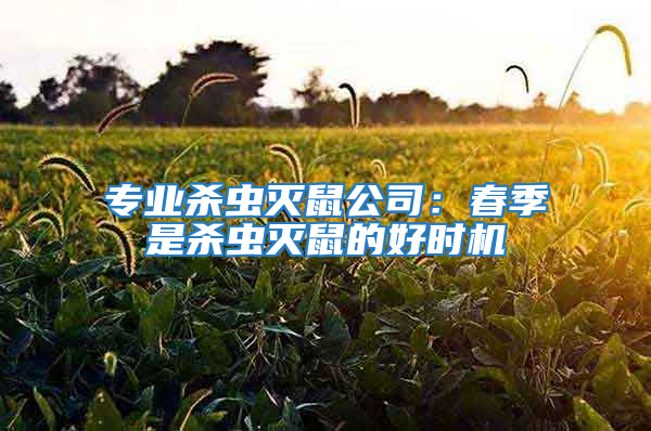 專業殺蟲滅鼠公司：春季是殺蟲滅鼠的好時機