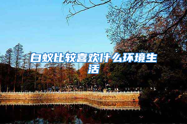 白蟻比較喜歡什么環境生活